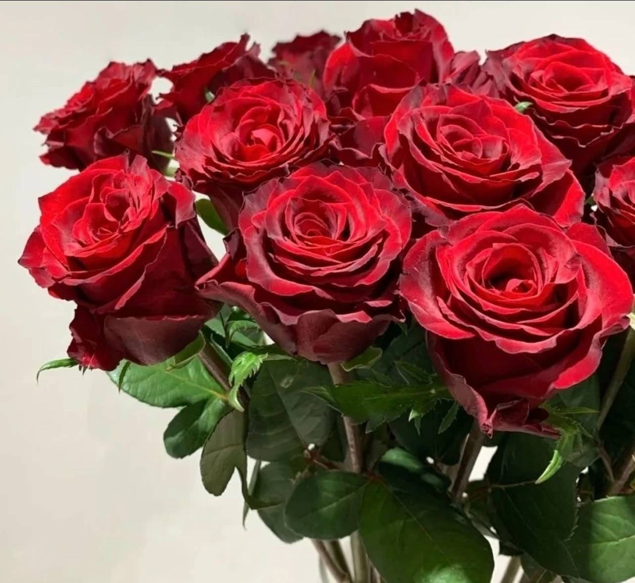 Red Roses (China) - 20 Stems