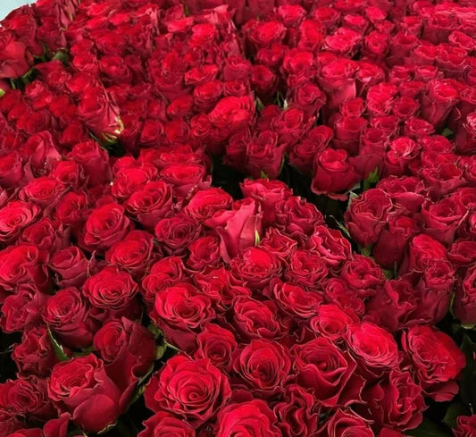 Red Roses (China) - 20 Stems