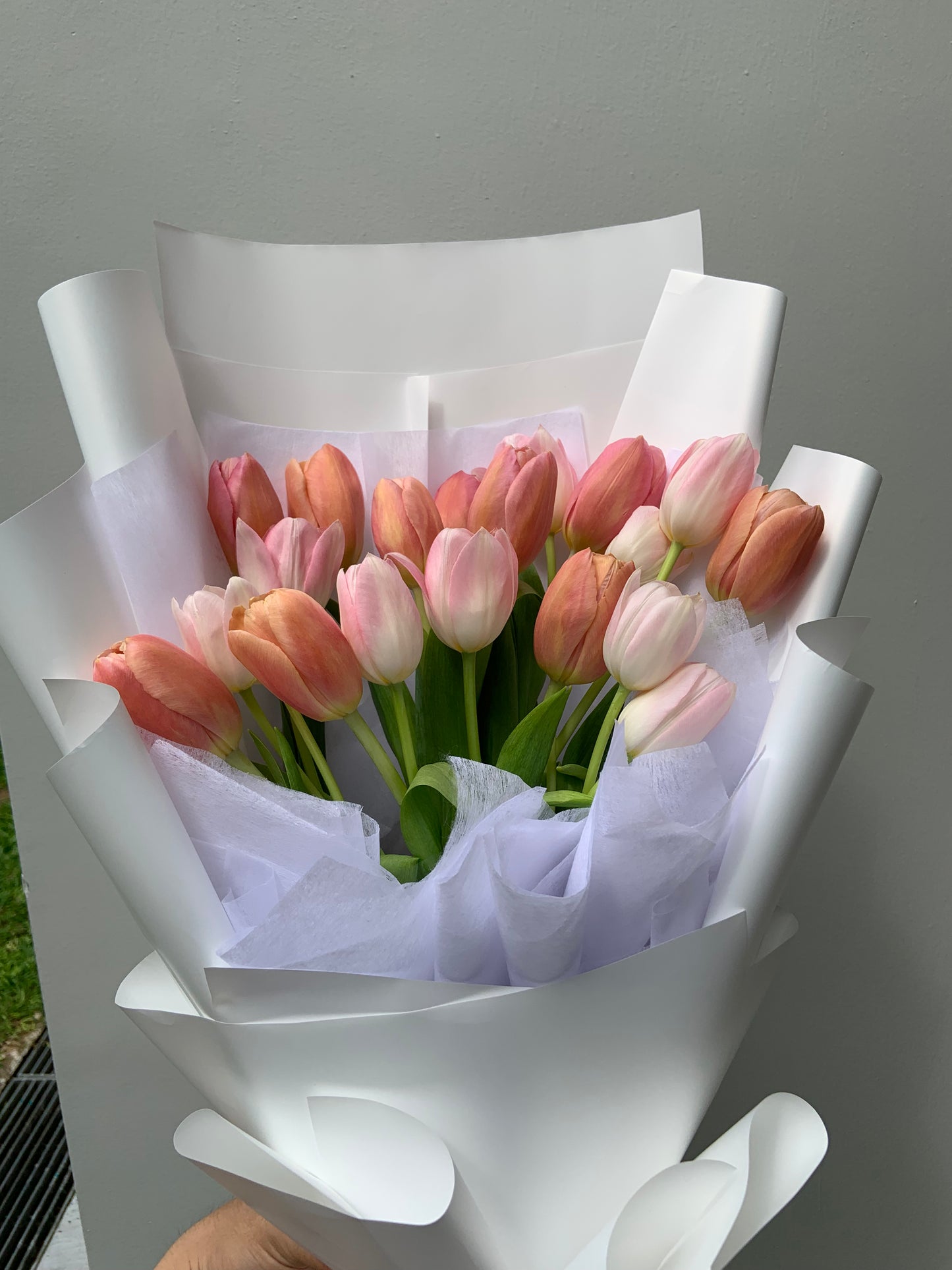 Twentylips (20 Tulips)
