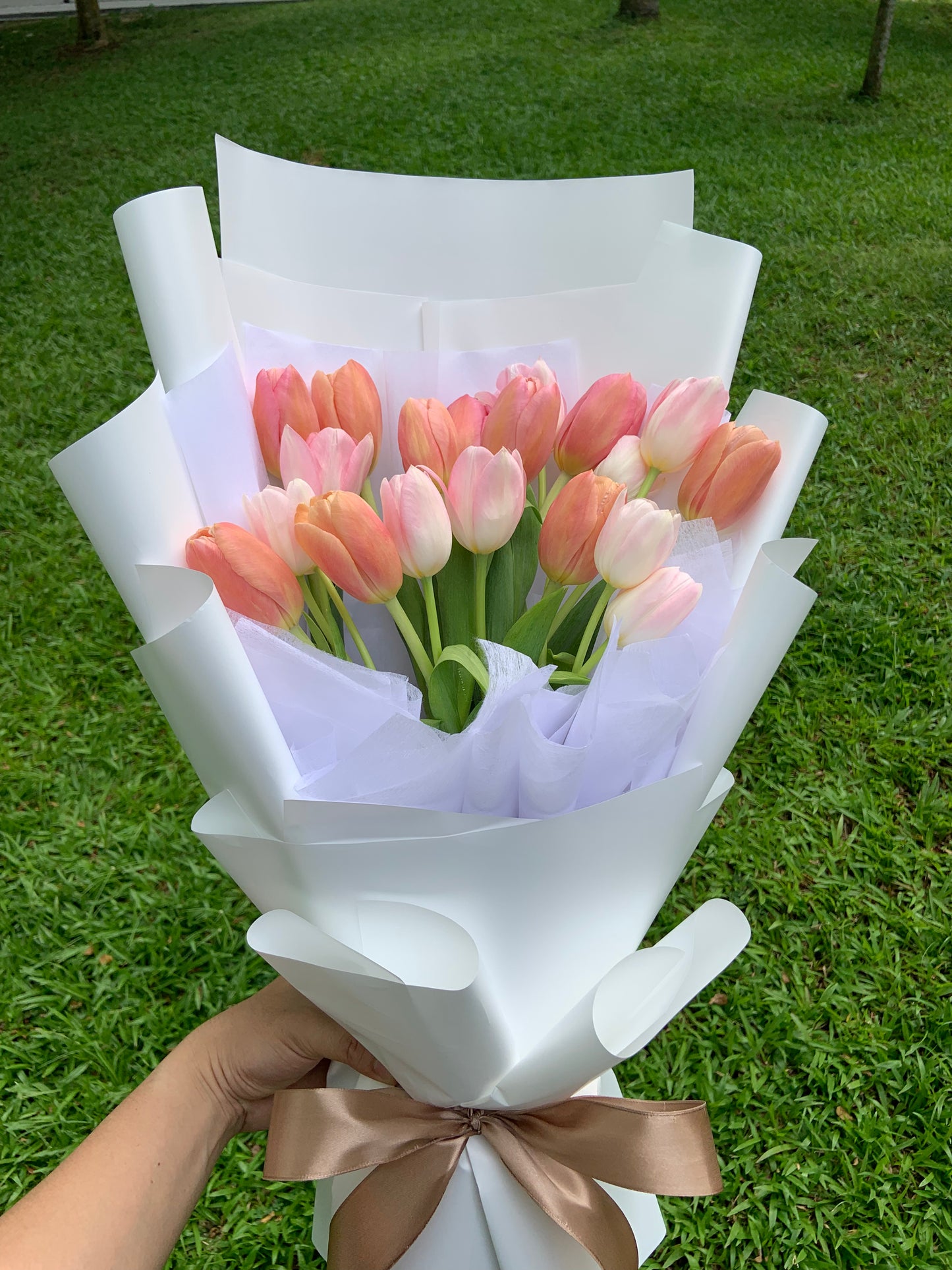 Twentylips (20 Tulips)