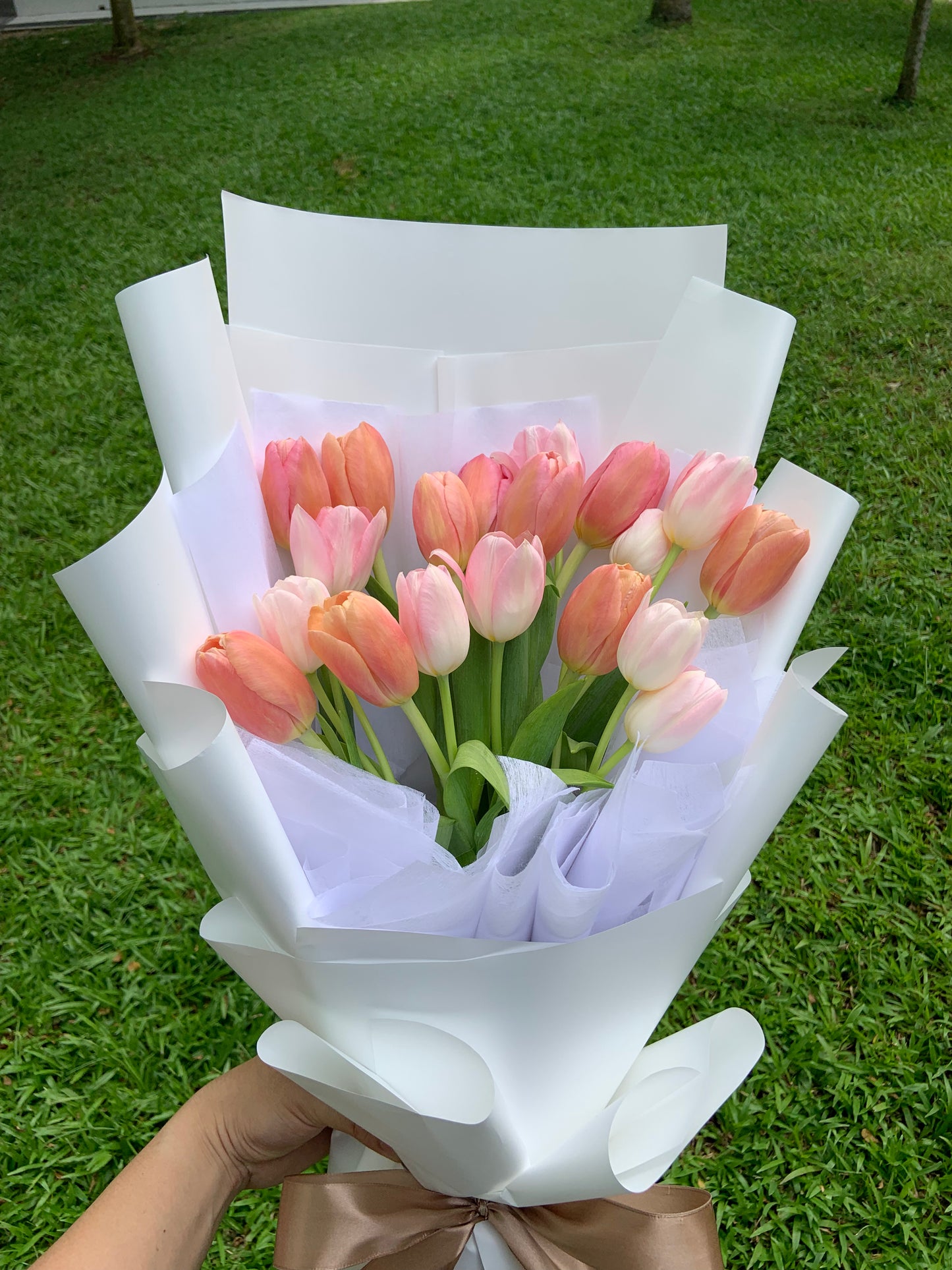 Twentylips (20 Tulips)