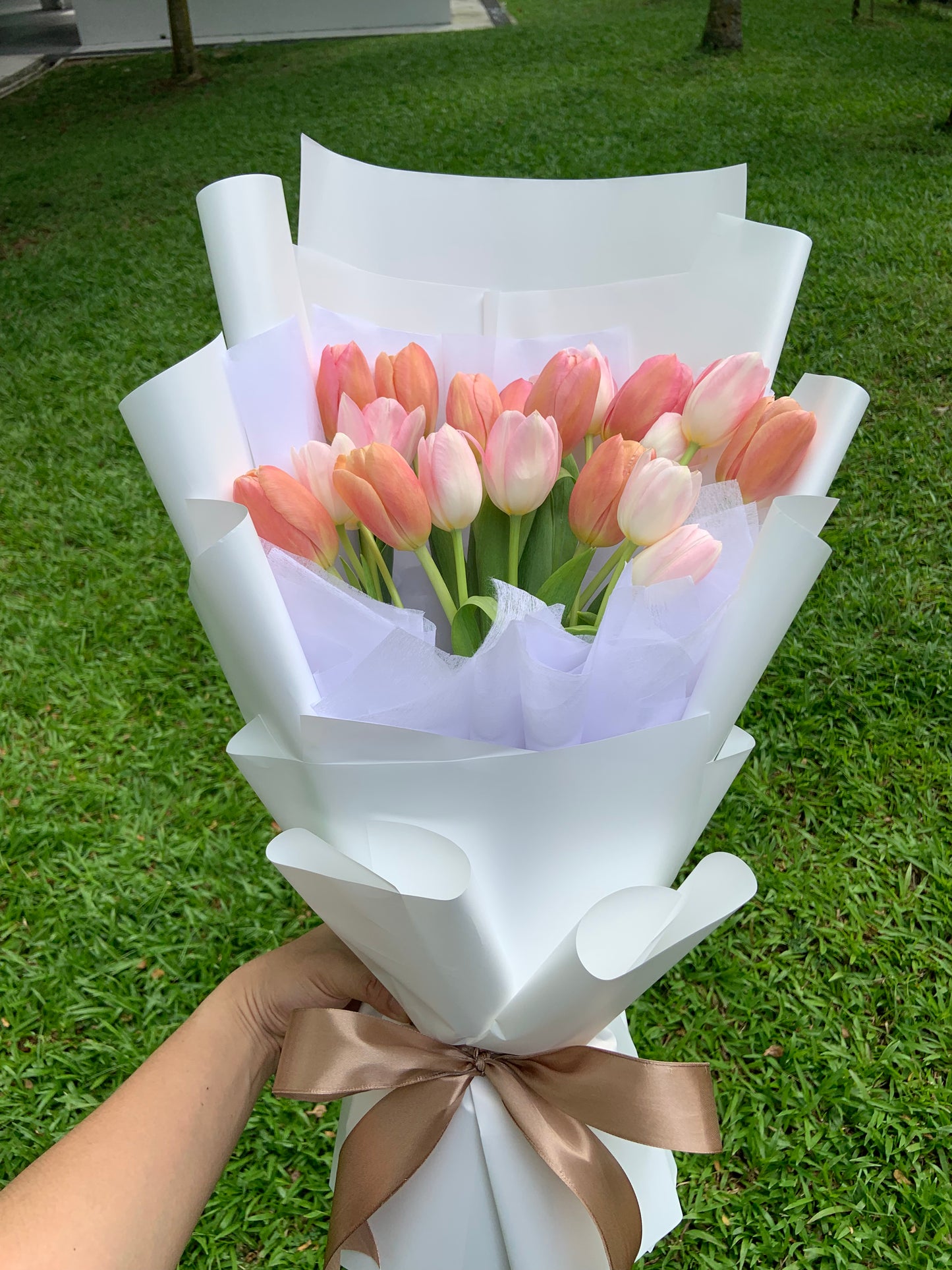 Twentylips (20 Tulips)