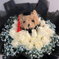 Scholar (20 Roses with Baby Breath)