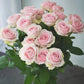 Other Colours (China) - 20 Stems