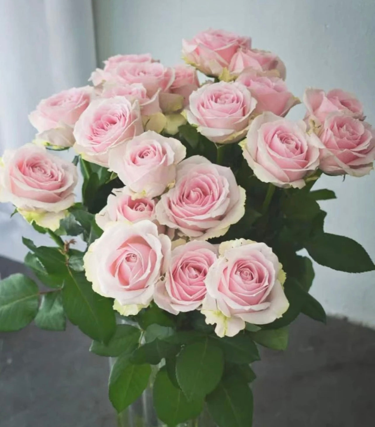 Other Colours (China) - 20 Stems