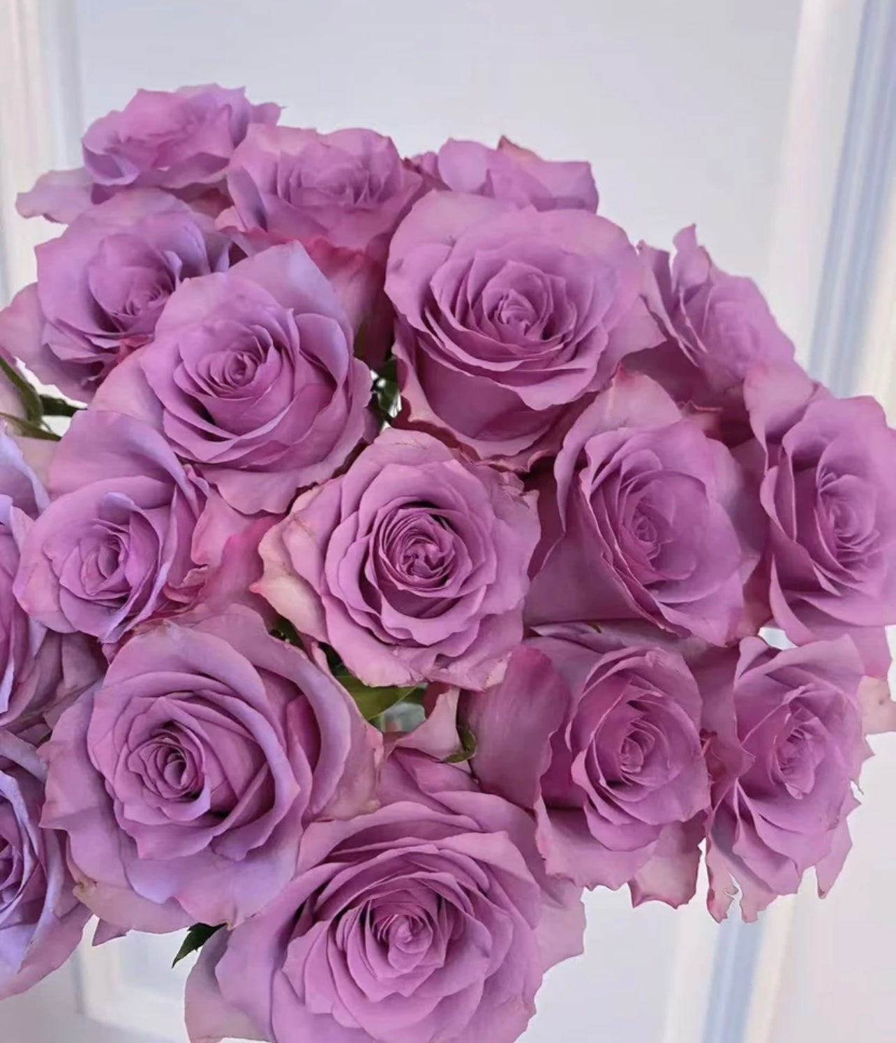 Other Colours (China) - 20 Stems