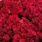 Red Roses (China) - 20 Stems