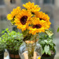 Sunflower (Malaysia) - 5 Stems