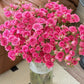 Rose Spray (8-10 Stems)