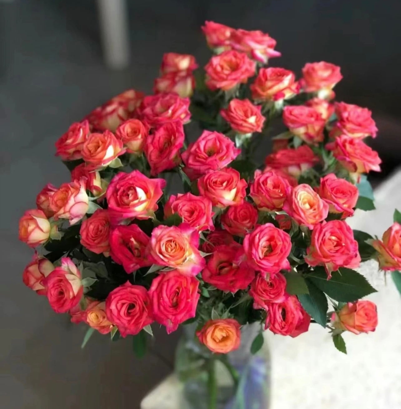 Rose Spray (8-10 Stems)