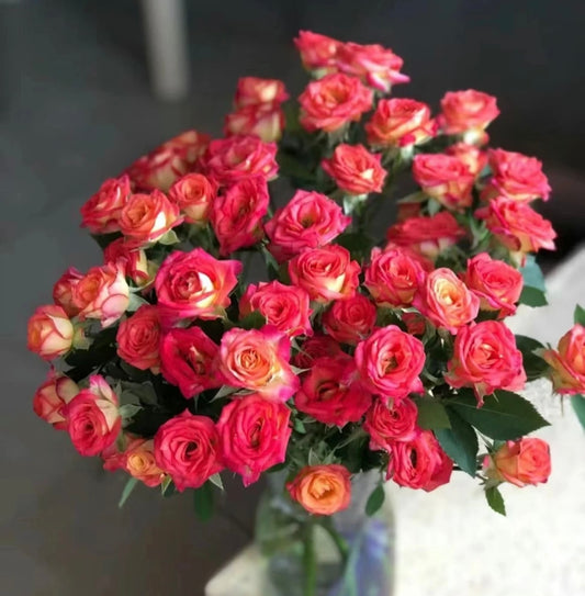 Rose Spray (8-10 Stems)