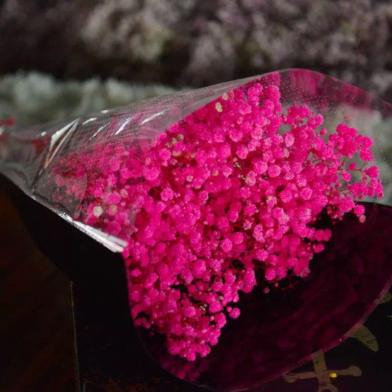 Preserved Baby Breath