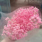 Preserved Baby Breath