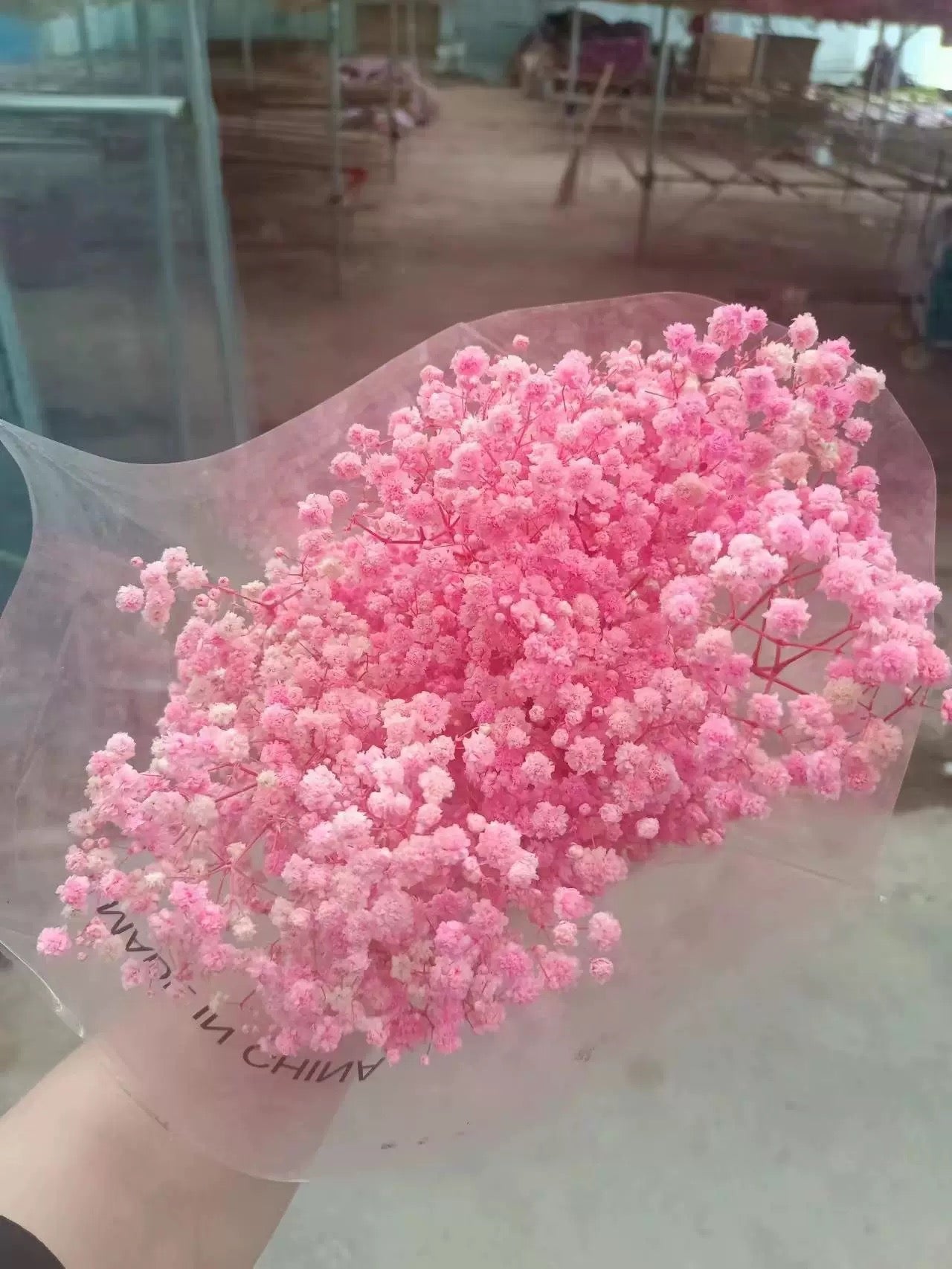 Preserved Baby Breath