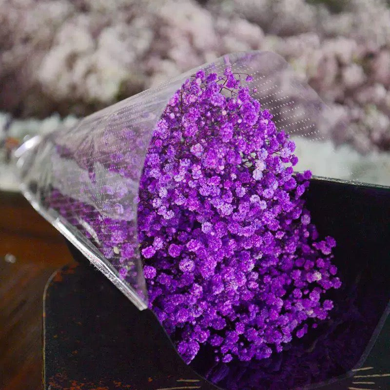Preserved Baby Breath