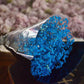 Preserved Baby Breath