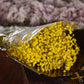 Preserved Baby Breath
