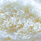 Preserved Hydrangea