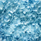 Preserved Hydrangea