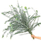Eucalyptus Baby Blue - Bundle