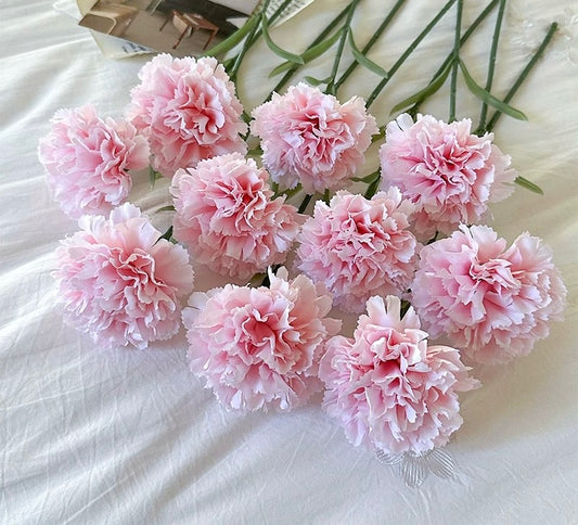 Carnation (China)