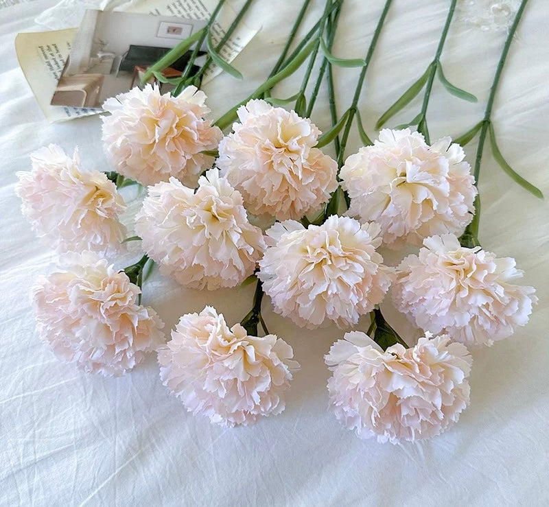 Carnation (China)