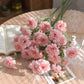 Carnation (China)