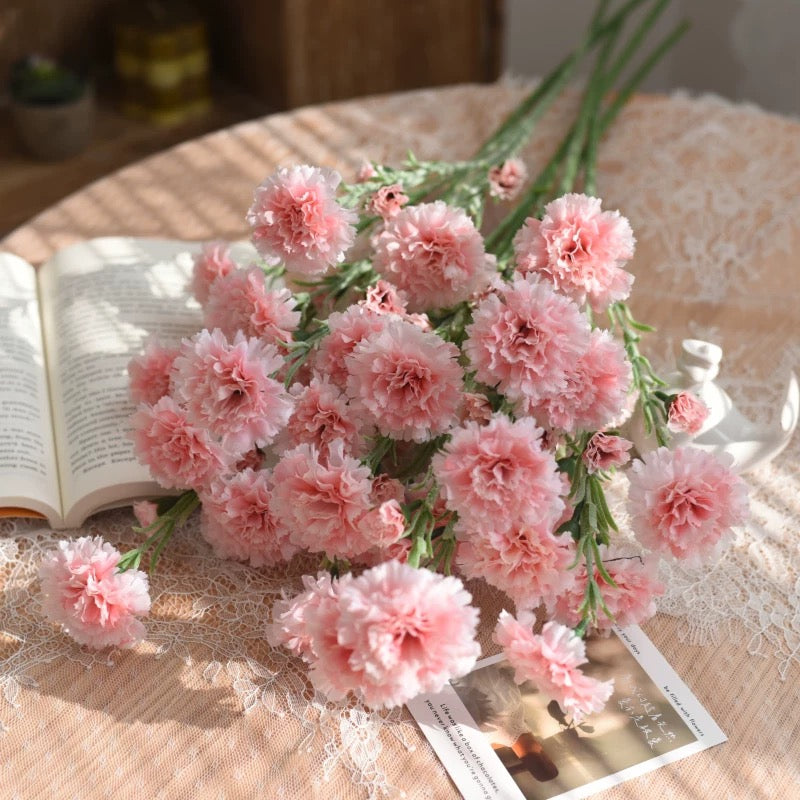 Carnation (China)